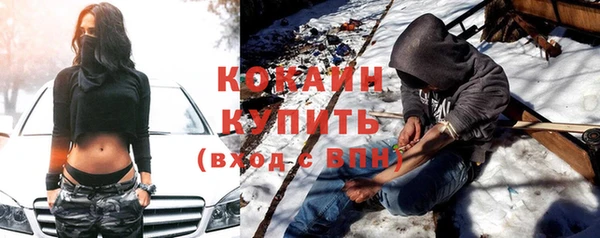 СК Алексин